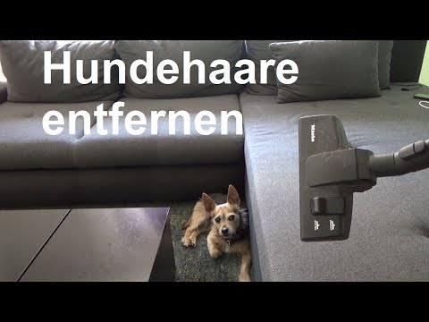 Video: So Entfernen Sie Haare Vom Teppich