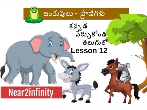 learn-kannada-through-telugu-lesson-12-|-animals-names-in-kannada