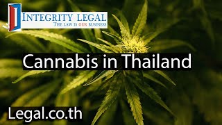 Cannabis Policy Changes in 2026?