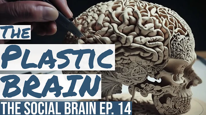 Rewire Your Brain: How Neuroplasticity Can Transform Your Life (The Social Brain Ep 14)
