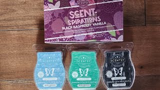 Scent-Spirations Black Raspberry Vanilla 💜 and Father's Day Collection 2024 💙 on cold!