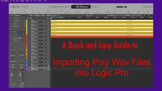 Importing a Poly Wav file into Logic Pro