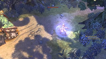 Tree of Savior - Vubbe Fighter