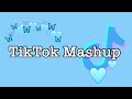 TikTok Mashup 2020 (not clean)