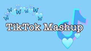 TikTok Mashup 2020 (not clean)