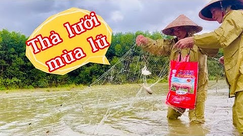 Thả lưới bắt cá mùa nước lũ