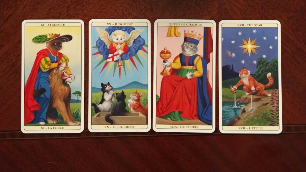 塔罗 | 关于你的外貌 喜欢你的vs无感你的