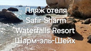 Отель Safir Sharm Waterfalls Resort 5*. Завтрак. Территория. Рыбки на затопленном понтоне. Египет.