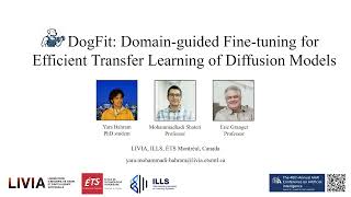 DogFit: Domain-guided Fine-tuning for Efficient Transfer Learning of Diffusion Models