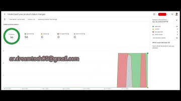 How to Fix Google Merchant Center Misrepresentation | Shopify Dropshipping