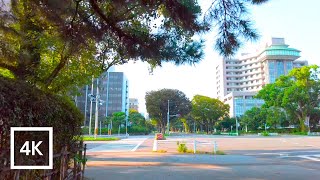 Japan 4K Walking Tour - Early morning stroll through the streets of Nagoya [4K/60fps]