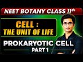 Cell : The Unit Of Life | NEET 2027