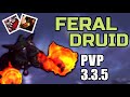 FERAL DRUID PVP 3.3.5 - BEGINNER GUIDE WARMANE WOTLK (Talents,Gear,Spells,Duels,Tips) 2020