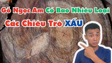 Gỗ Ngọc Am Loại Nào Có GIÁ TRỊ THỰC Cao Nhất