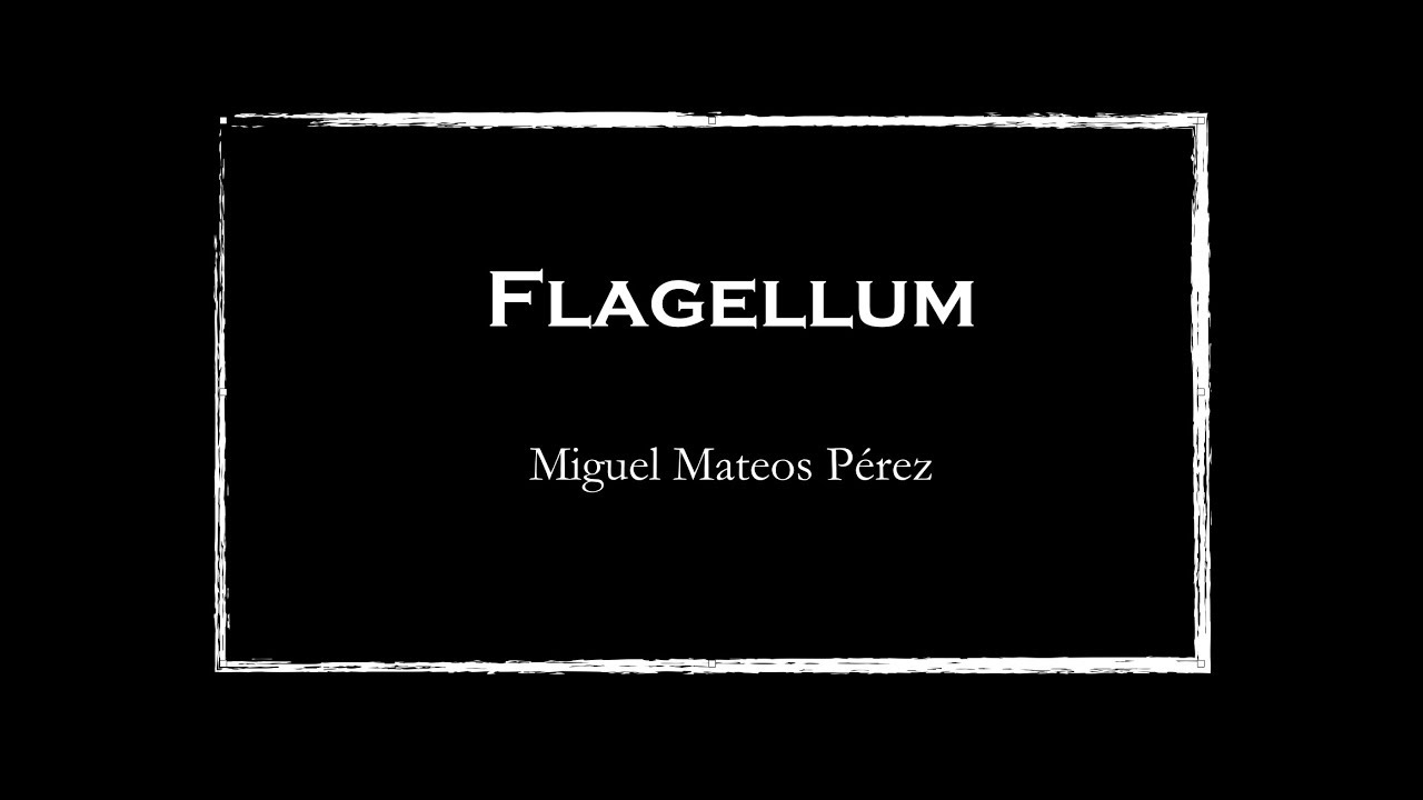 Flagellum - Miguel Mateos Pérez