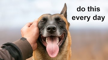 12 Scientific Ways To Get Your Dog To Love You The Most