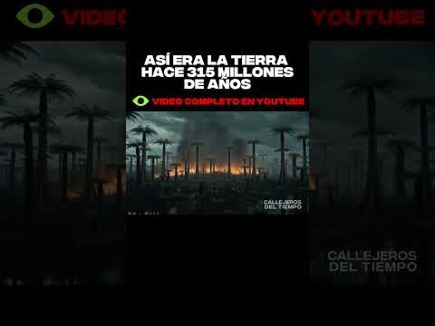 Un solo rayo aquí y todo el bosque salta por los aires... ¡Toca correr! ⚡