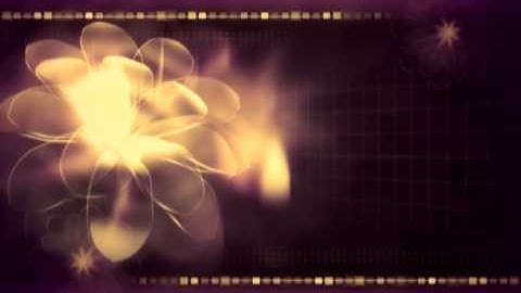 Video Background Violet Flower   Animation Motion Graphics HD