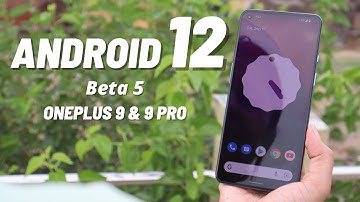 How to Install Android 12 beta 5 on Oneplus 9 & 9 pro
