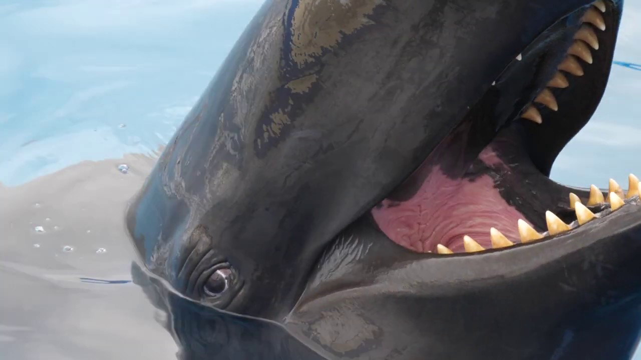 沖縄 美ら海水族館 オキゴンドウのお顔のアップ Pseudorca Crassidens Youtube 沖縄 美ら海水族館 オキゴンドウのお顔のアップ Pseudorca Crassidens Youtube