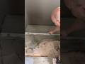 Gefällespachtelung Dusche! #fliesen #diy #tiles #business #fyp #handwerk #viral #tiktok