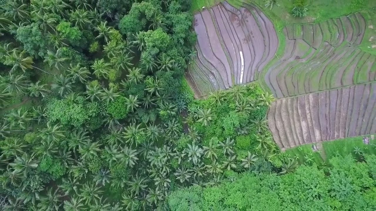 Bali Enduro Jungle | Tabalan | Bali Enduro Paradise