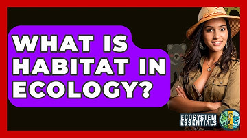 What Is Habitat In Ecology? - Ecosystem Essentials
