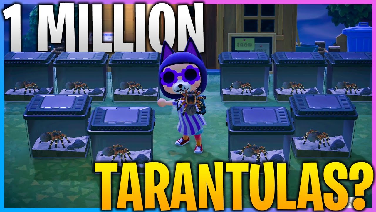 How To Farm TARANTULAS in Animal Crossing New Horizons (ACNH) YouTube