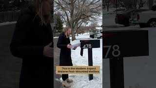 Famous Modern Aspect: Fave Purchase Of 2022 V3.0 Profile