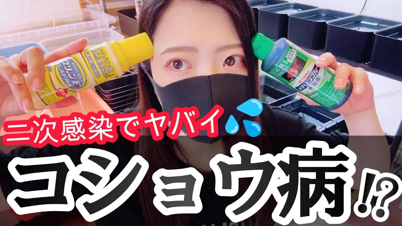 メダカの病気！薬でまったく違う結果に！