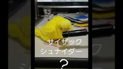 ちゅん太郎チャンネル Youtube ちゅん太郎チャンネル Youtube
