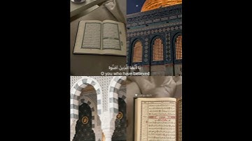 {صَلُّوا عَلَيْهِ وَسَلِّمُوا تَسْلِيمًا}🌸سورة الأحزاب الآيه (56) القاريء #_ياسر_الدوسري