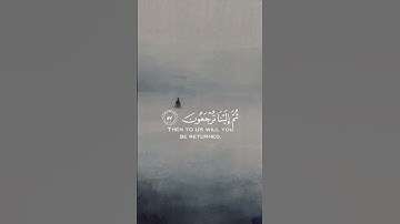 كل نفس ذائقة الموت ⚰️ بصوت القارئ عبدالرحمن مسعد