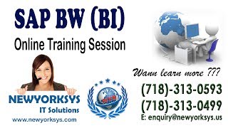 SAP BW BI 7.3 Online Training - Demo Newyorksys.com