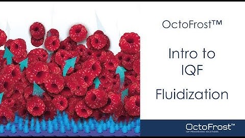 A Brief Introduction to IQF: Episode 1 - Fluidization | OctoFrost