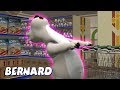 Bernard Bear | Shopping Rage AND MORE | Cartoons for Children