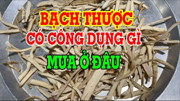 Bạch thược - Bạch thược có tác dụng gì - Mua bach thược ở đâu