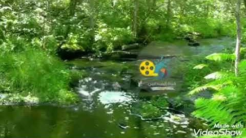 دى آيات من سورة آل عمران للشيخ محمد فتحي