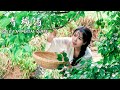 Green plum wine青梅酒｜今年泡酒，來年享受！丨Summer Kitchen•夏廚陳二十【440】