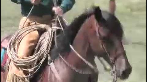 Martin Black - The Two Rein