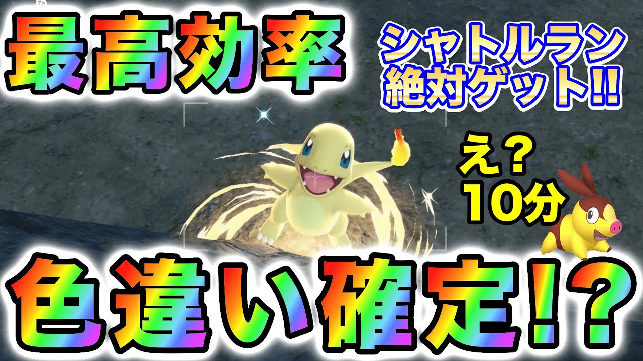 Shiny Pokémon Guaranteed] Maximum efficiency without loading! A