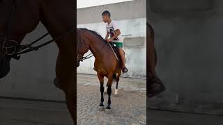 O Dele Foi Uma Tartaruga funny comedy shorts