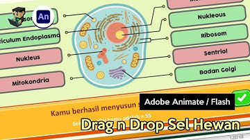 Game Edukasi Drag and Drop Sel Hewan