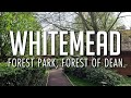 Whitemead Forest Park, Forest of Dean | Lodges | Park | Restaurant | Surrounding Areas