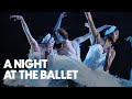 A night at the ballet  the national ballet of canada