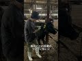 【間違い探し】ある牛だけ何かが違います😕