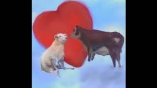 Download lagu She Loves You Yeah Yeah Yeah