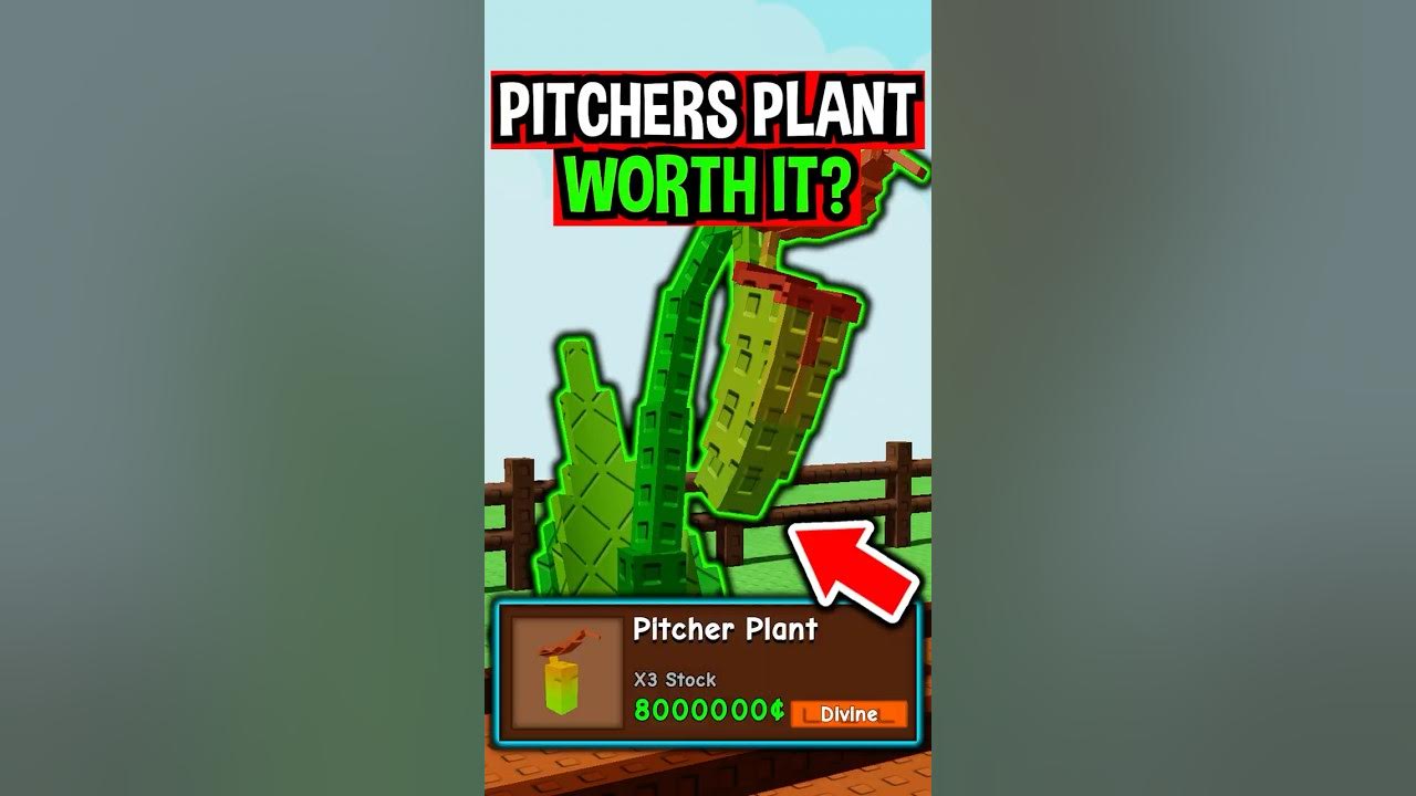 New PITCHERS PLANT SEED in Roblox Grow a Garden.. New PITCHERS PLANT SEED in Roblox Grow a Garden..