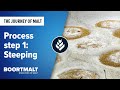 Malting Process Step 1 Steeping