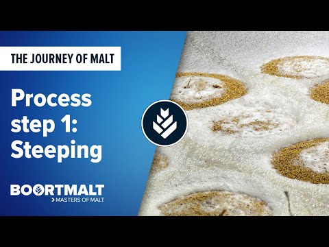 Malting Process Step 1 Steeping